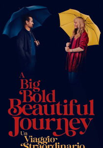 A Big Bold Beautiful Journey - Un viaggio straordinario streaming